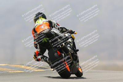 media/Apr-10-2022-SoCal Trackdays (Sun) [[f104b12566]]/Turn 9 Backside (1120am)/